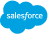 Salesforce Partner